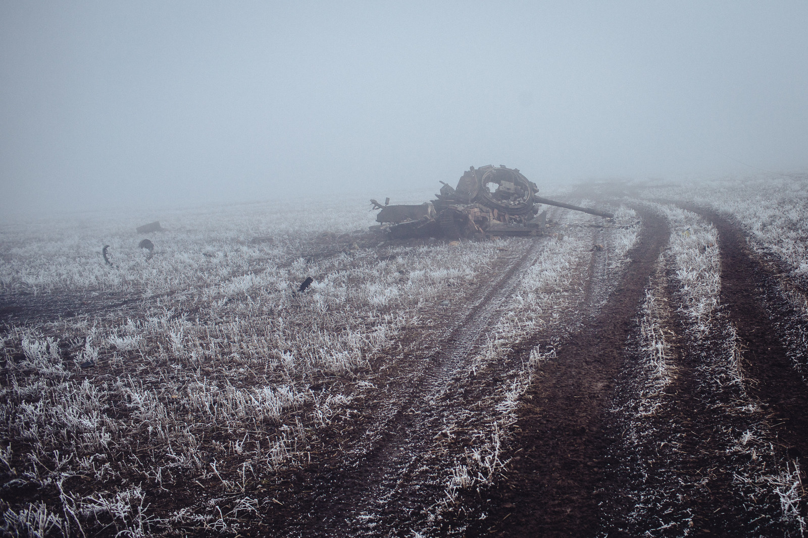 http://www.buzzfeed.com/avdeev/horrific-images-capture-the-sheer-brutality-of-ukraine-war#.nkRVwpA97
